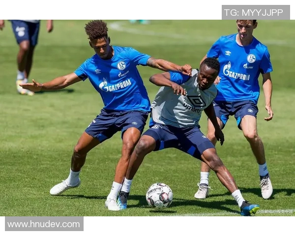 沙尔克04客场逼平柏林赫塔,展现强势逆袭实力 沙尔克04客场逼平柏林赫塔,展现强势逆袭实力